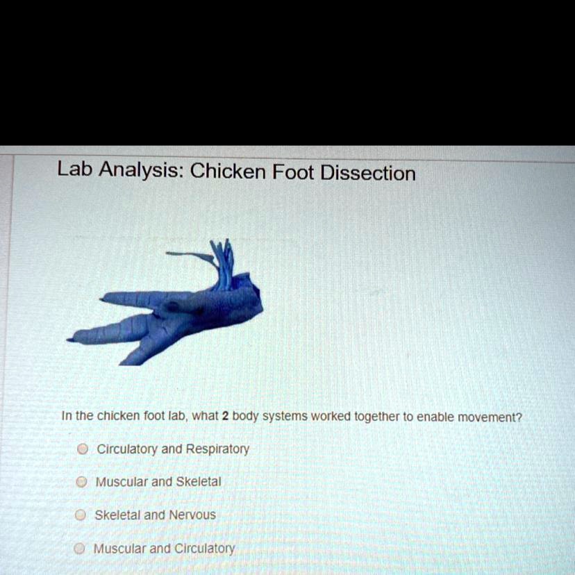 SOLVED (Pic attached) Can anyone help me? Lab Analysis Chicken Foot