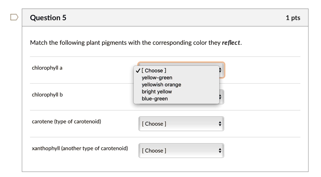 question 5 1 pts match the following plant pigments with the corresponding color they reflect