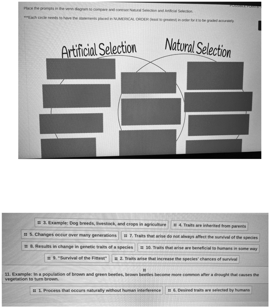 Place the prompts in the venn diagram to compare and contrast Natural
