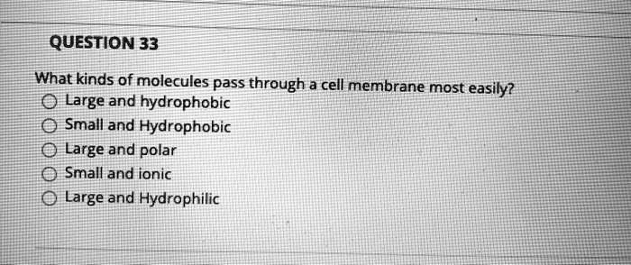Solved: Question 33 What Kinds Of Molecules Pass Through A Cell Membrane Most Easily? 0 Large And Hydrophobic Small And Hydrophobic Large And Polar Small And Ionic Large And Hydrophilic