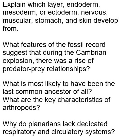 Solved: Explain Which Layer, Endoderm Mesoderm, Or Ectoderm, Nervous, Muscular, Stomach, And Skin Develop From. What Features Of The Fossil Record Suggest That During The Cambrian Explosion, There Was A Rise Of