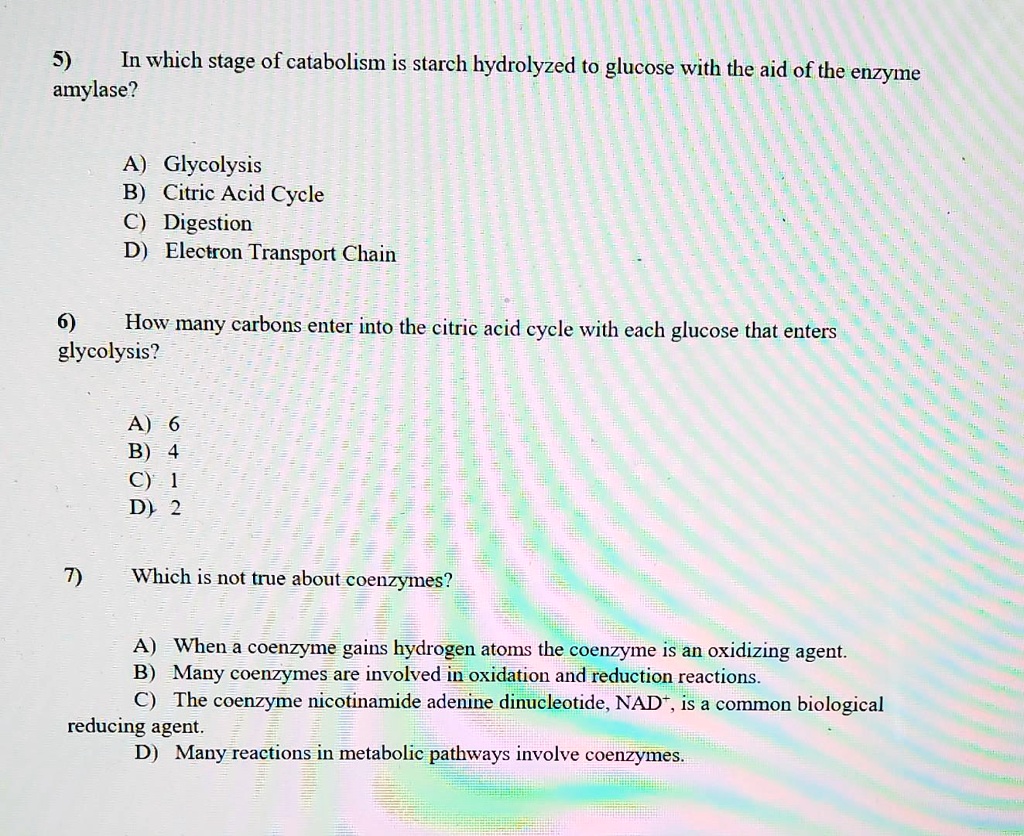 Solved: 5) In Which Stage Of Catabolism Is Starch Hydrolyzed To Glucose With The Aid Of The Enzyme Amylase? A) Glycolysis B) Citric Acid Cycle C) Digestion D) Electron Transport Chain How