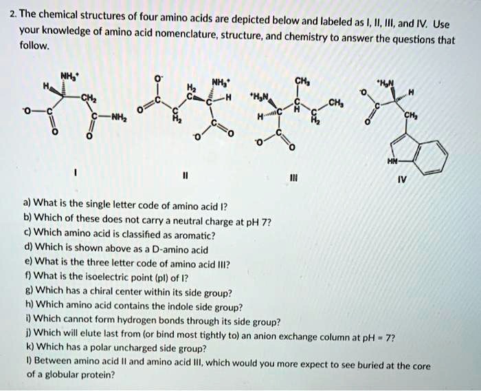 SOLVED2 The chemical structures of four amino acids are depicted below