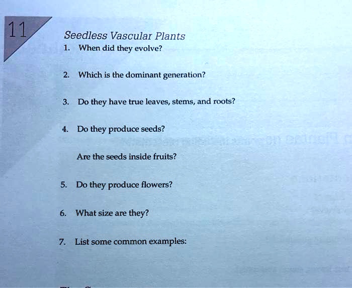 SOLVED 11 Seedless Vascular Plants When did they evolve? Which is the