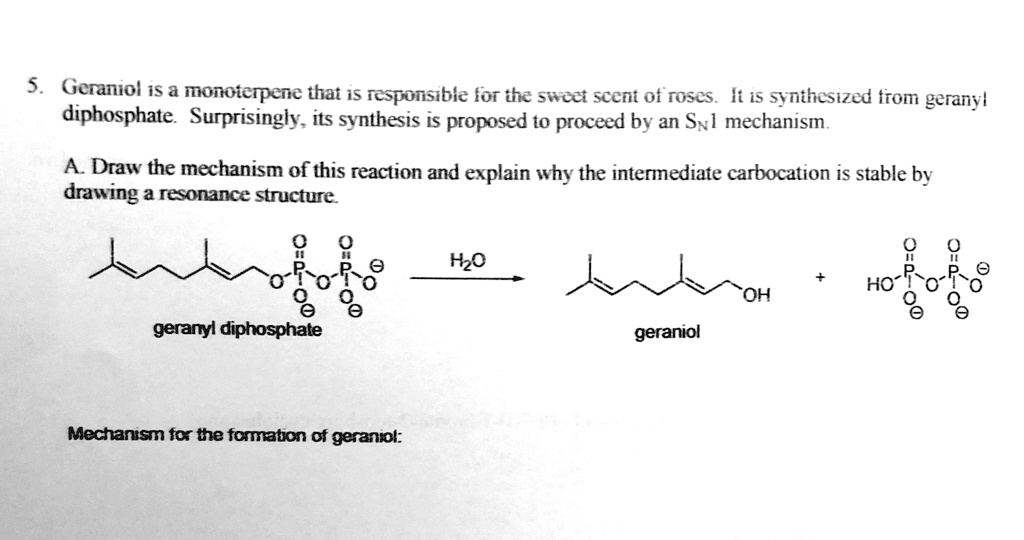SOLVED Geraniol iS monoicrpene that iS Tesponsible for ihe Swict sccnt