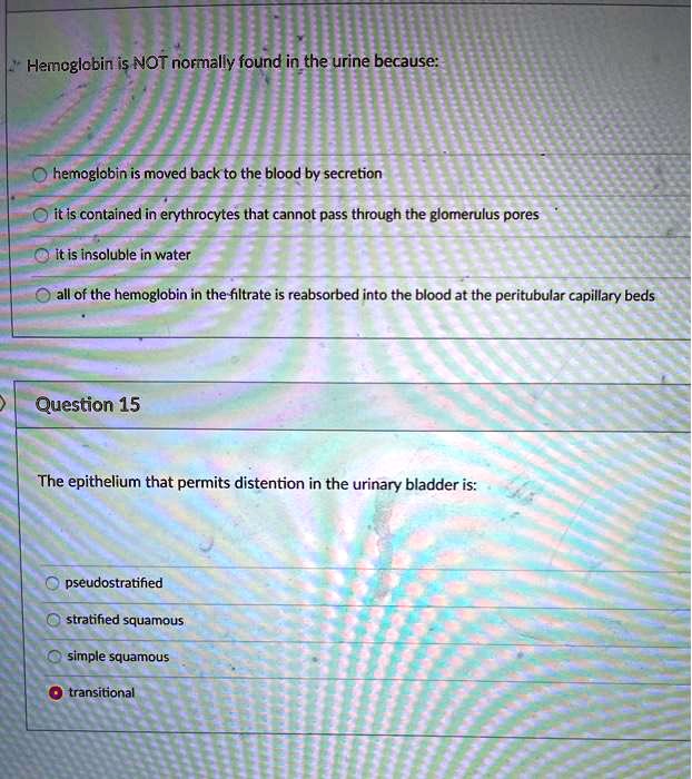 SOLVED Hemoglobin is NOT normally found in the urine because O