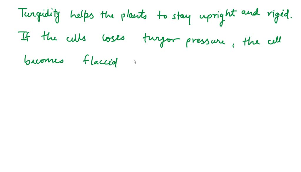 SOLVED Plants wilt on a hot summer day because of a decrease in a