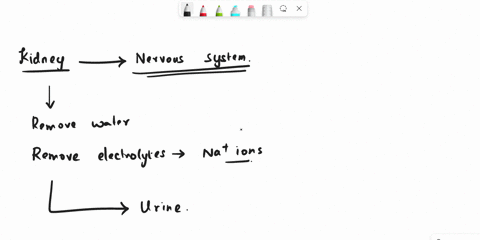 Solved: Which Describes A Mendelian Trait? A. Blood Type In Humans Has Several Different Alleles. B. Humans Either Have Straight Thumbs Or Bent Thumbs. C. There Are Many Different Colors Of Eyes