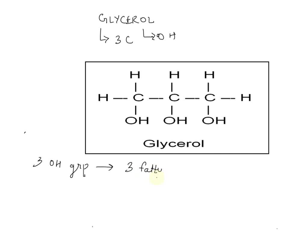 SOLVED What type of molecule is composed of glycerol?