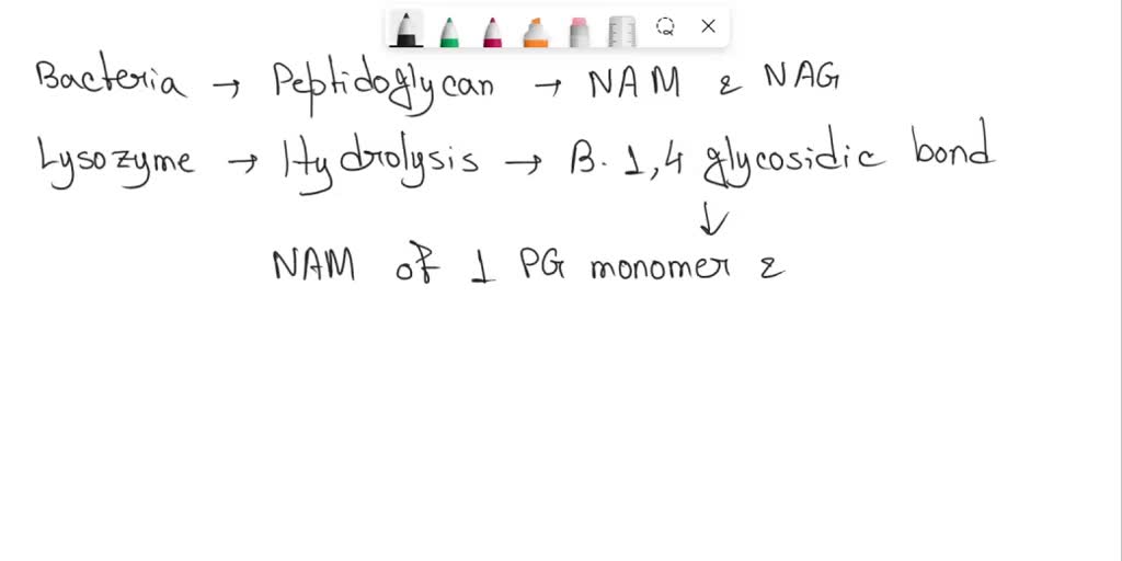SOLVED Lysozyme, an enzyme found in human saliva, tears, and other