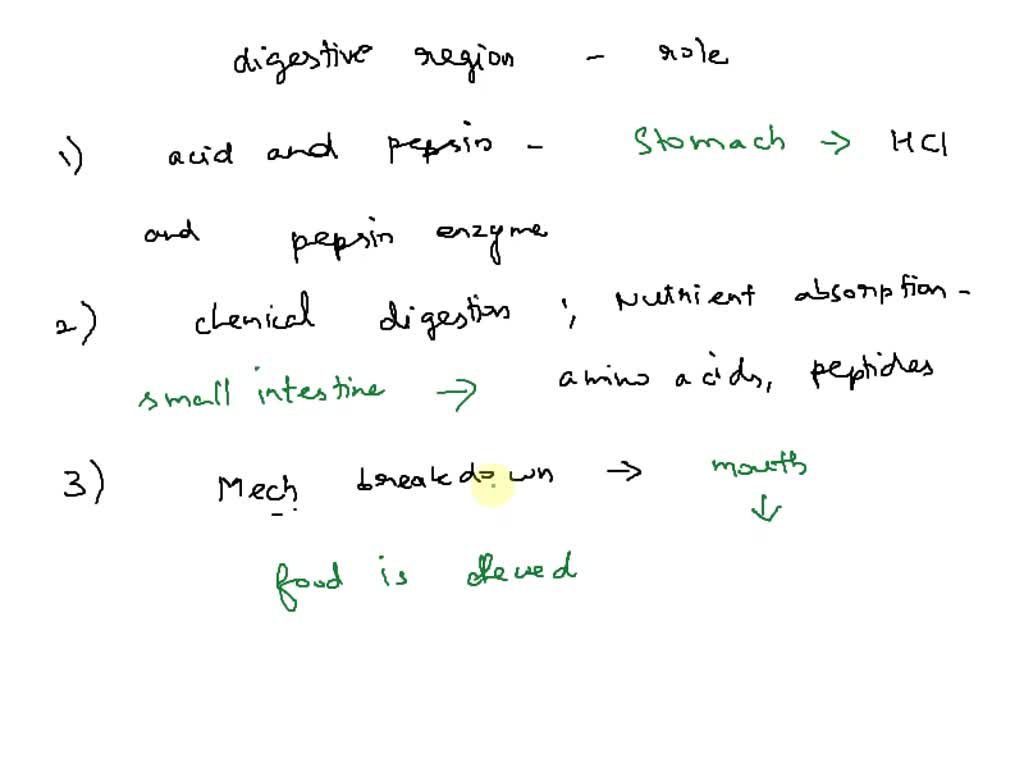 SOLVED Match the following digestive structures with their correct