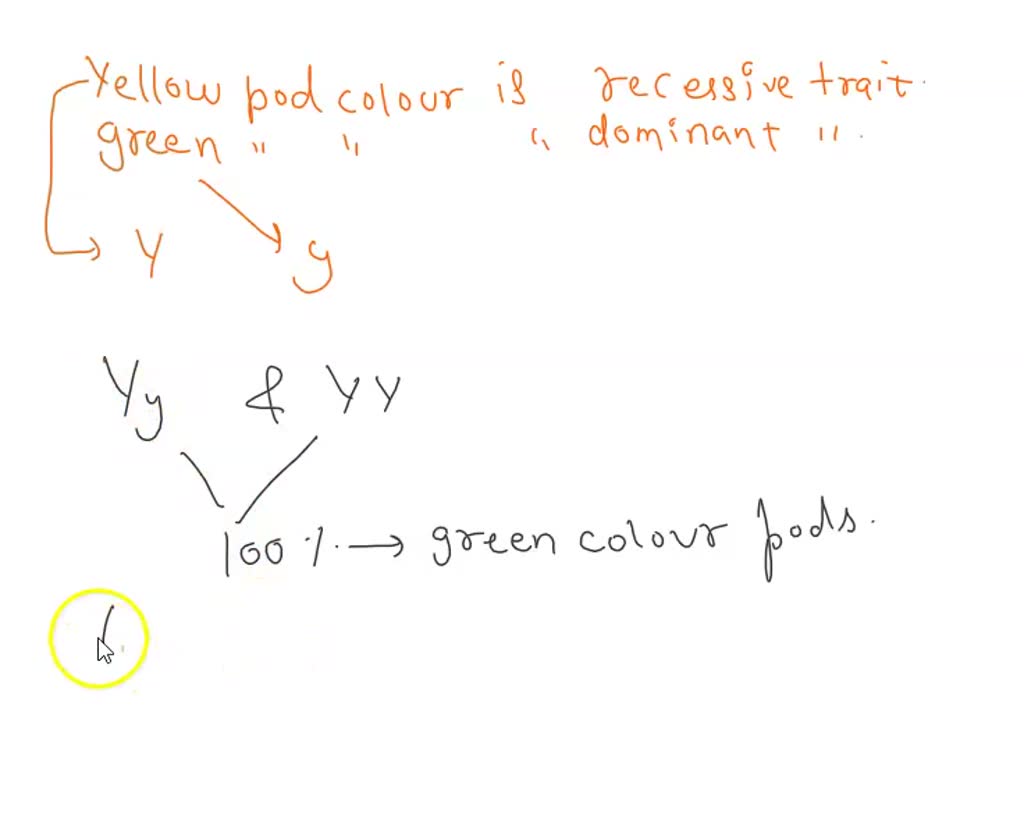 SOLVED In pea plants, yellow pod color is recessive and green pod