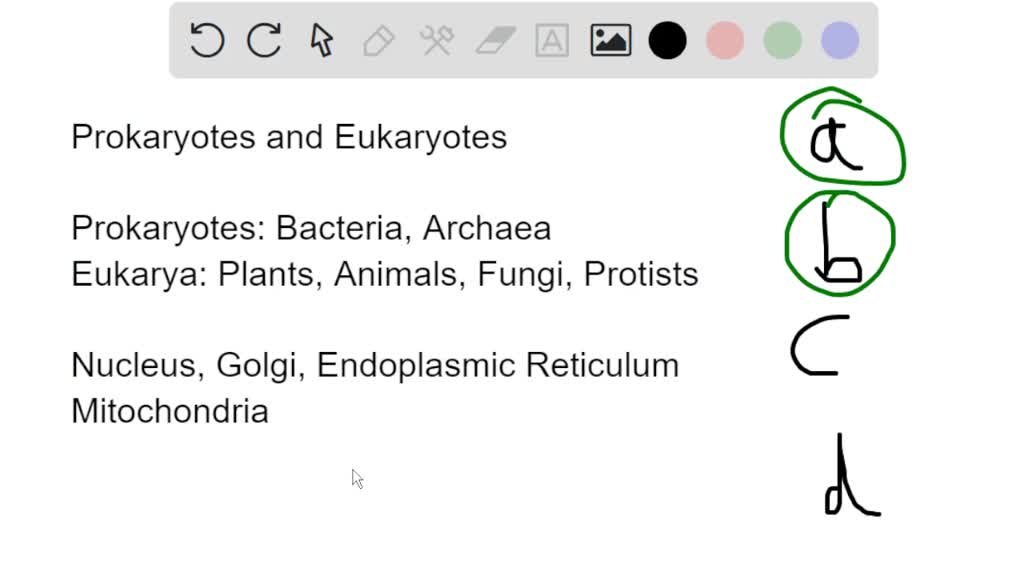 SOLVED Choose all that apply. What are the primary differences between