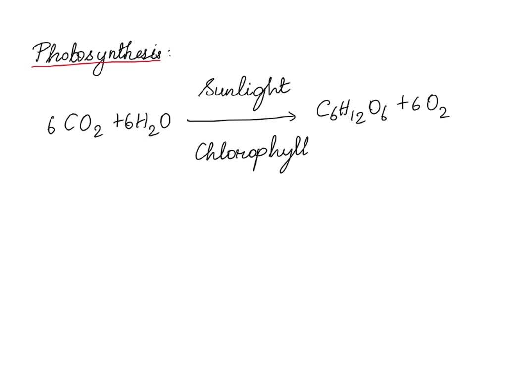 SOLVED The oxygen released during photosynthesis comes from molecules