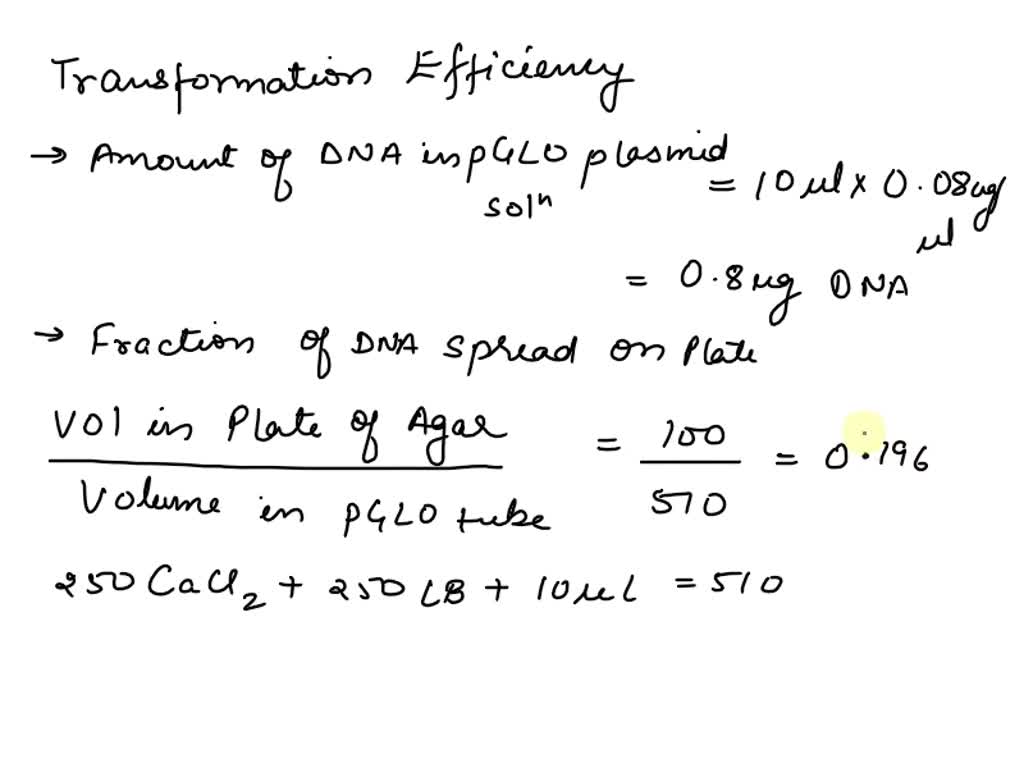 SOLVED Calculate the transformation efficiency of the following