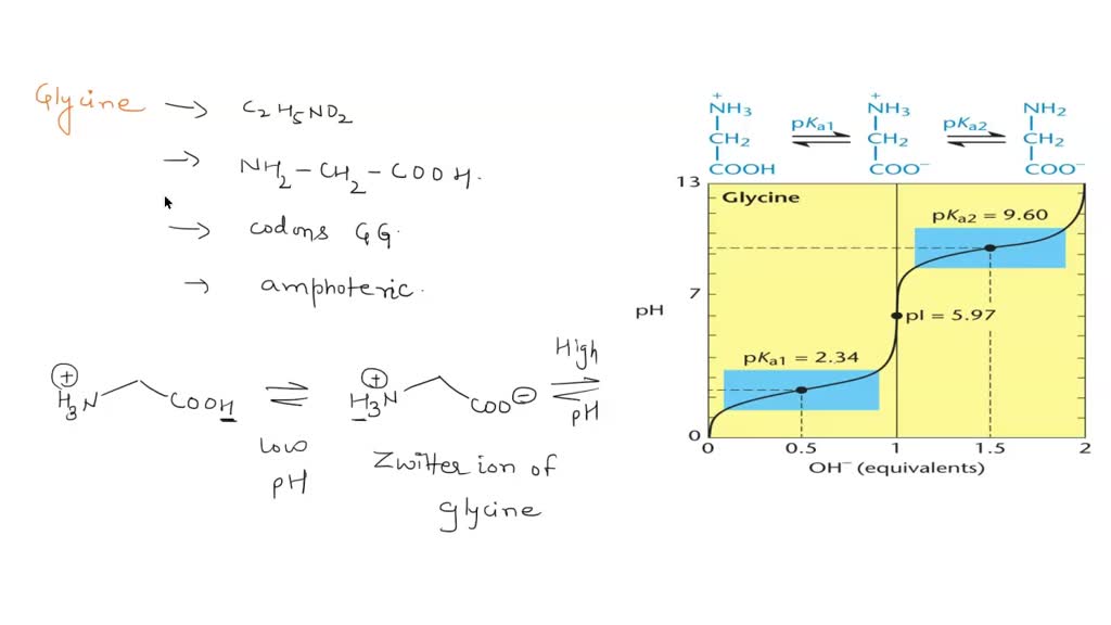 SOLVED What is the balanced net ionic equations of the acidbase
