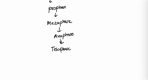 Solved: In Ovaries, The Final Products Of Meiosis Are A) Haploid Cells. B) Diploid Cells. C) Triploid Cells. D) Polyploid Cells.