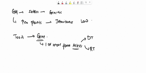 Solved: Which Describes A Mendelian Trait?A. Humans Have Either Attached Earlobes Or Detached Earlobes. B.human Body Mass Is Controlled By Many Genes. C. Blood Type In Humans Has Several Diffrent Alleles. D.