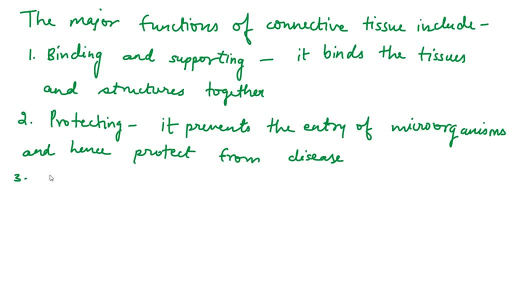SOLVED What is NOT a function of connective tissue? A) Protection from external sources B