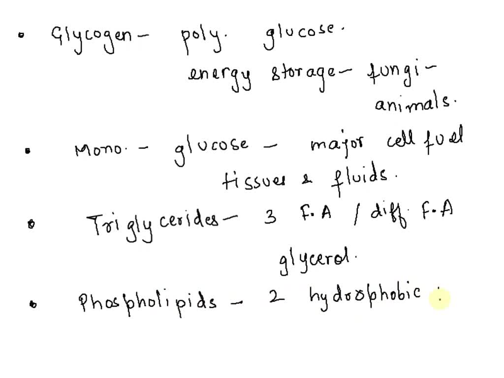 Solved: Choose The Incorrect Statement Below: Glycogen Is A Carbohydrate Used For Short Term Energy Storage In Animals Glucose Is An Important Carbohydrate Monosaccharide Which Is Used By Most Cells As Energy