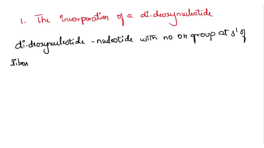 SOLVED How does the DNA sequence work? Chain termination method with