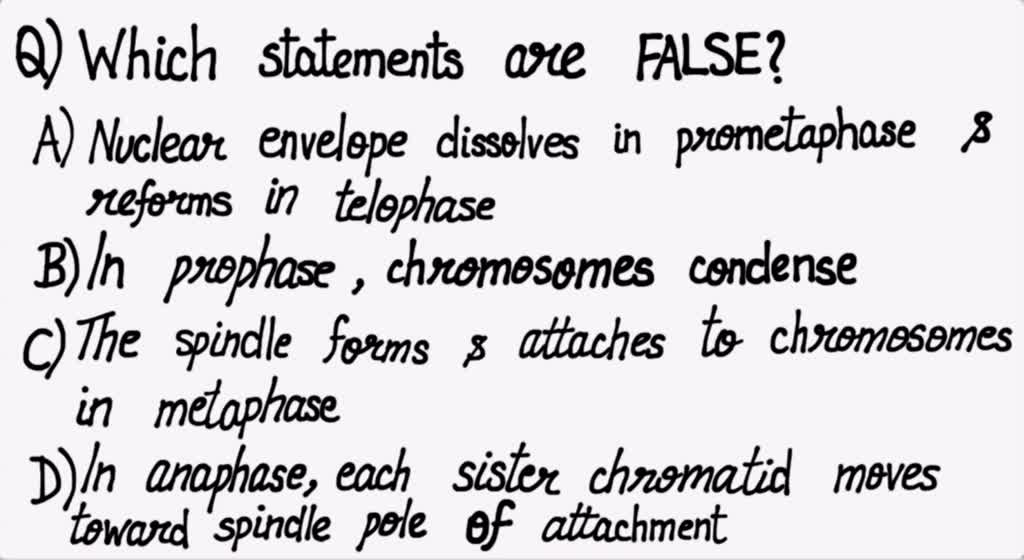 Solved: Q6.8.Which Of The Following Statements Is False? The Nuclear Envelope Dissolves In Prometaphase And Reforms In Telophase In Prophase Chromosomes Condense Into Compact Structures The Spindle Forms And Attaches T0 Chromosomes