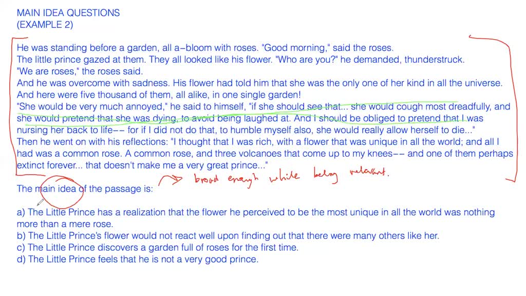 Main idea questions - example 1 | Numerade