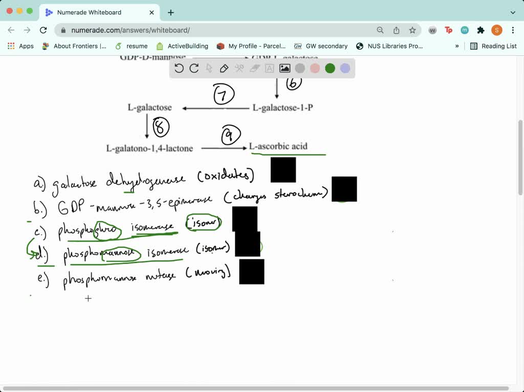 SOLVEDA proposed pathway for ascorbic acid (vitamin C) biosynthesis in plants takes the form