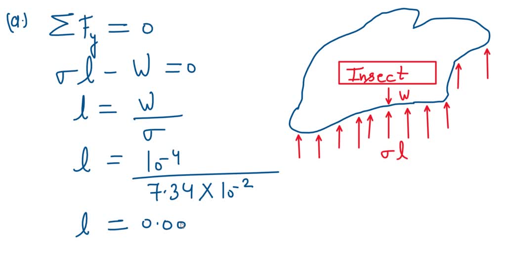 (See Fluids in the News article titled "Walking on water," Section 1.9