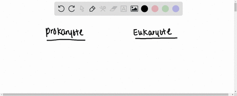 Solved:which Of The Following Clues Would Tell You Whether A Cell Is Prokaryotic Or Eukaryotic? A. The Presence Or Absence Of A Rigid Cell Wall B. Whether Or Not The Cell Is