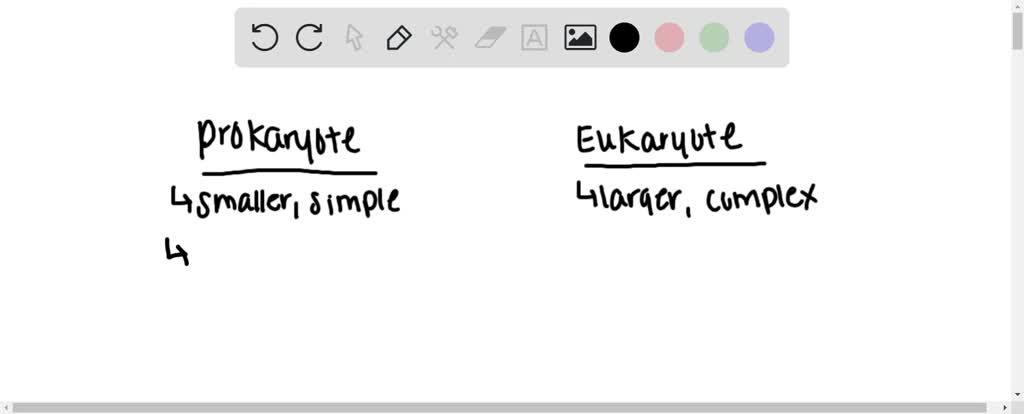 Solved:which Of The Following Clues Would Tell You Whether A Cell Is Prokaryotic Or Eukaryotic? A. The Presence Or Absence Of A Rigid Cell Wall B. Whether Or Not The Cell Is