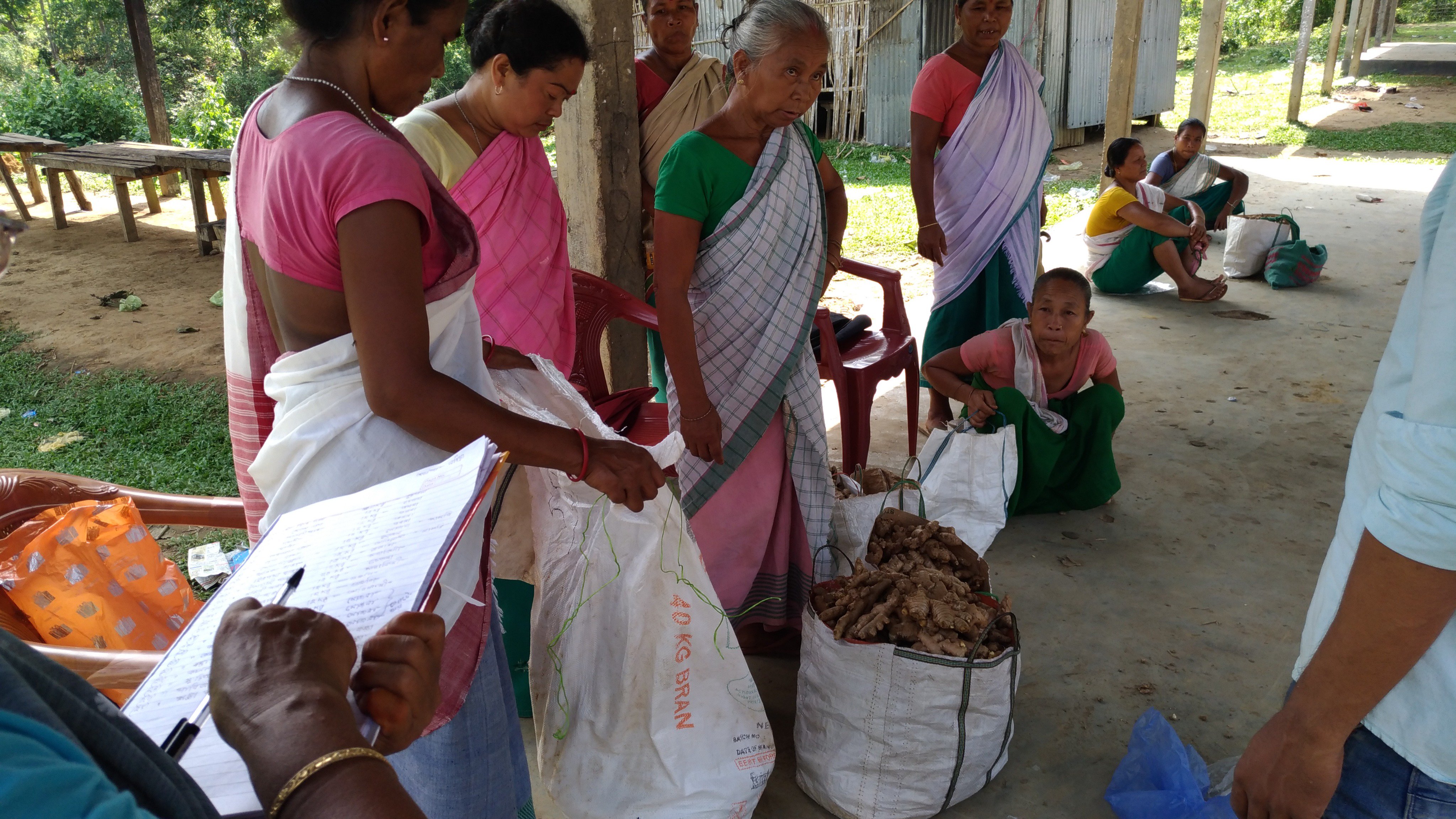 Top 10 Ginger producing countries in the world production and area