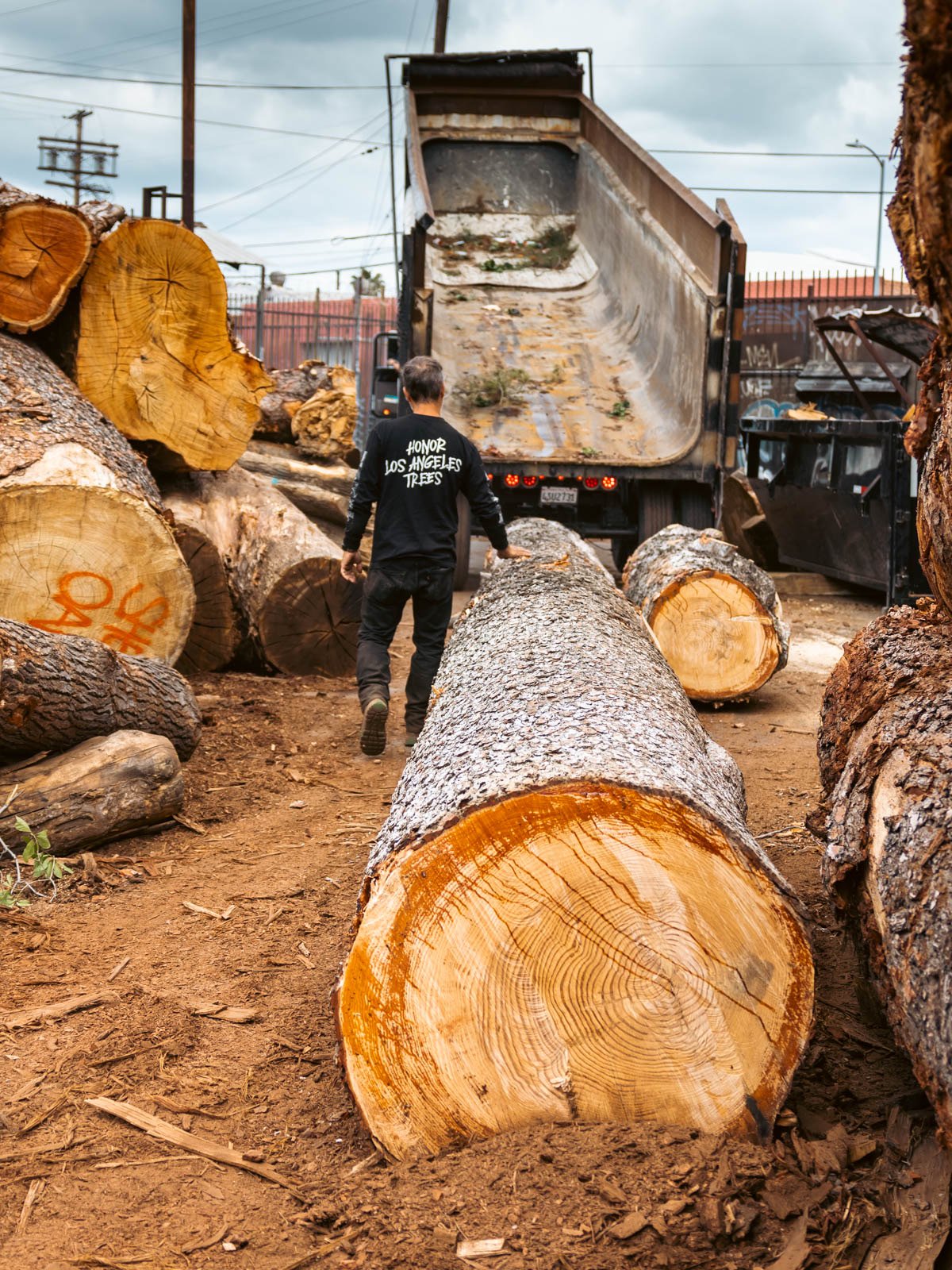 Angel City Lumber Partners With the U.S. Forest Service to ReLocalize