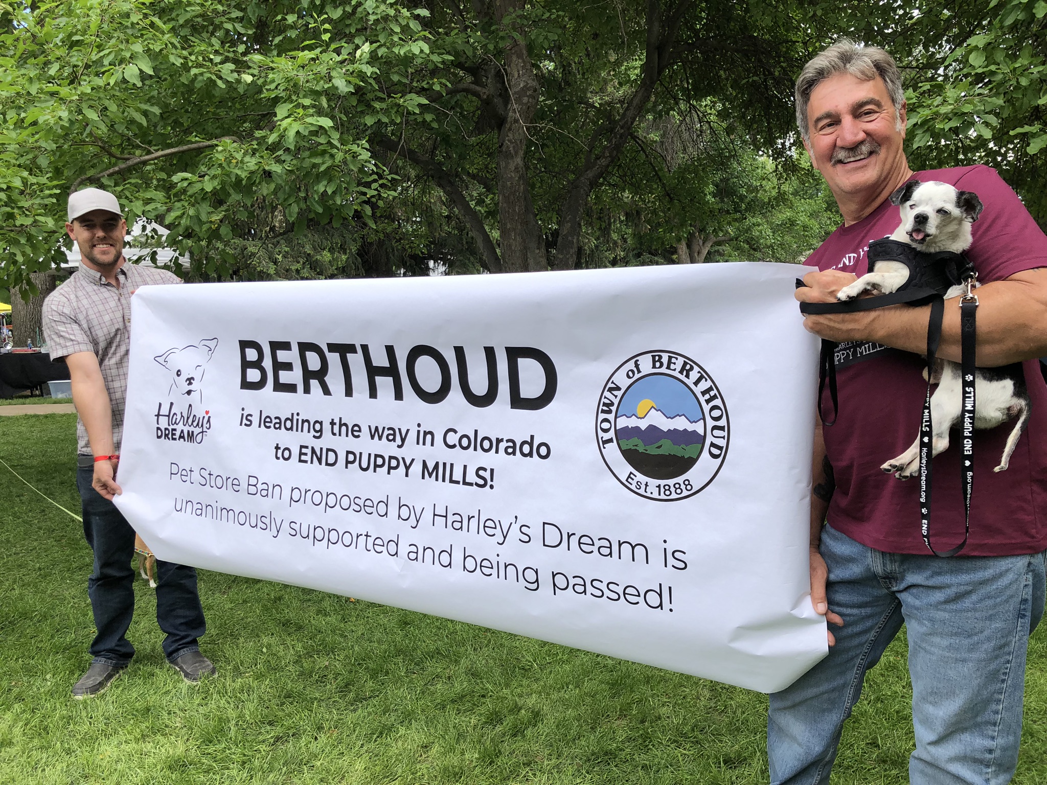 Berthoud, Colorado Bans the Sale of Puppies and Kittens in Pet Stores