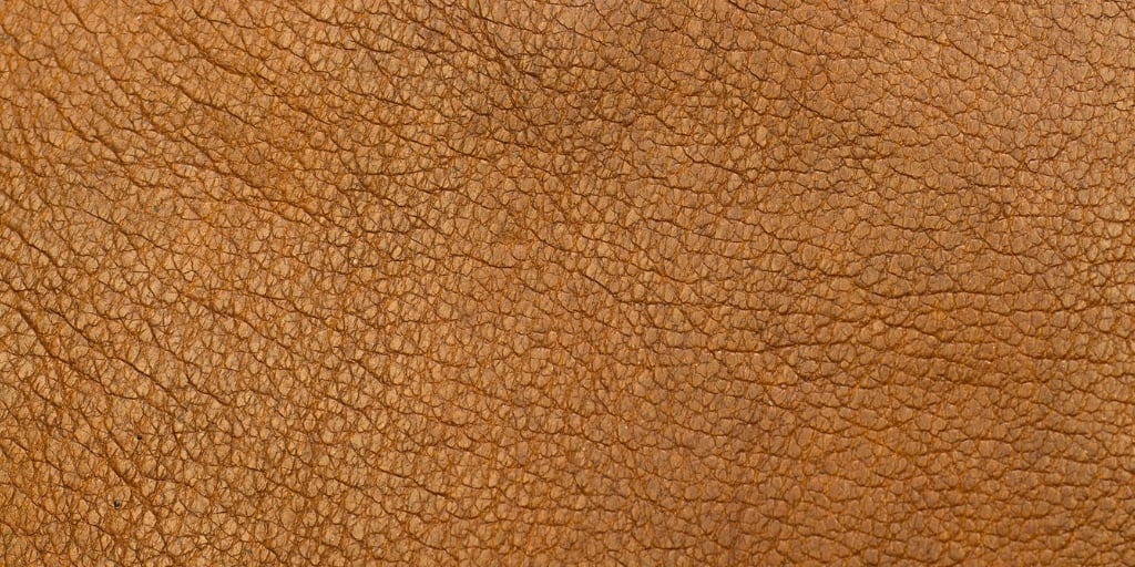 Leather Allergy New York Allergy and Sinus Centers