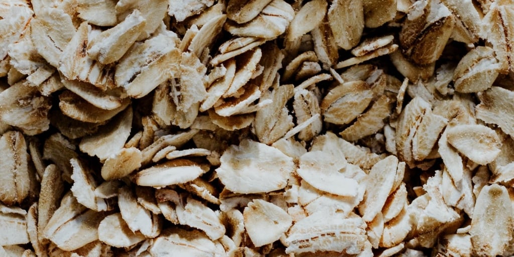 Oat Allergy New York Allergy and Sinus Centers