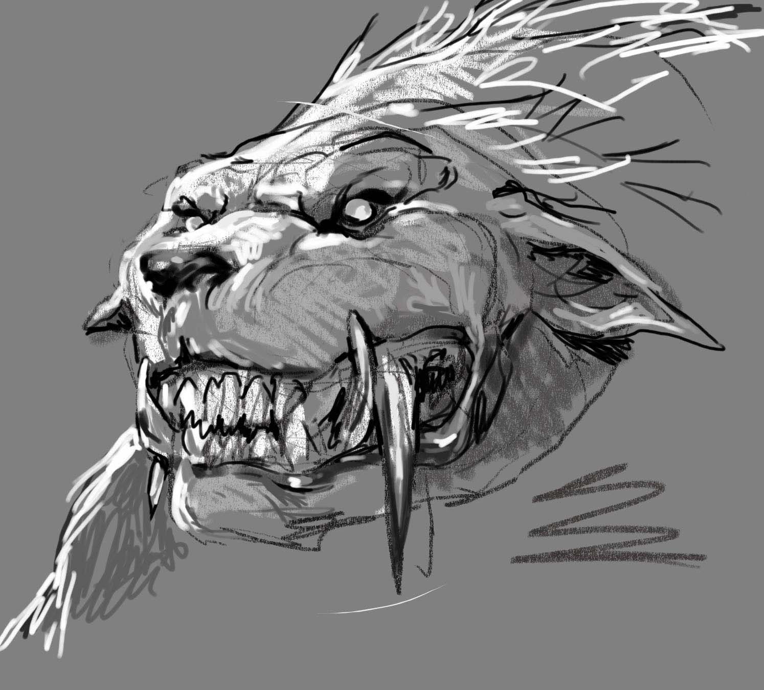Full Body Wolf Growling Drawing