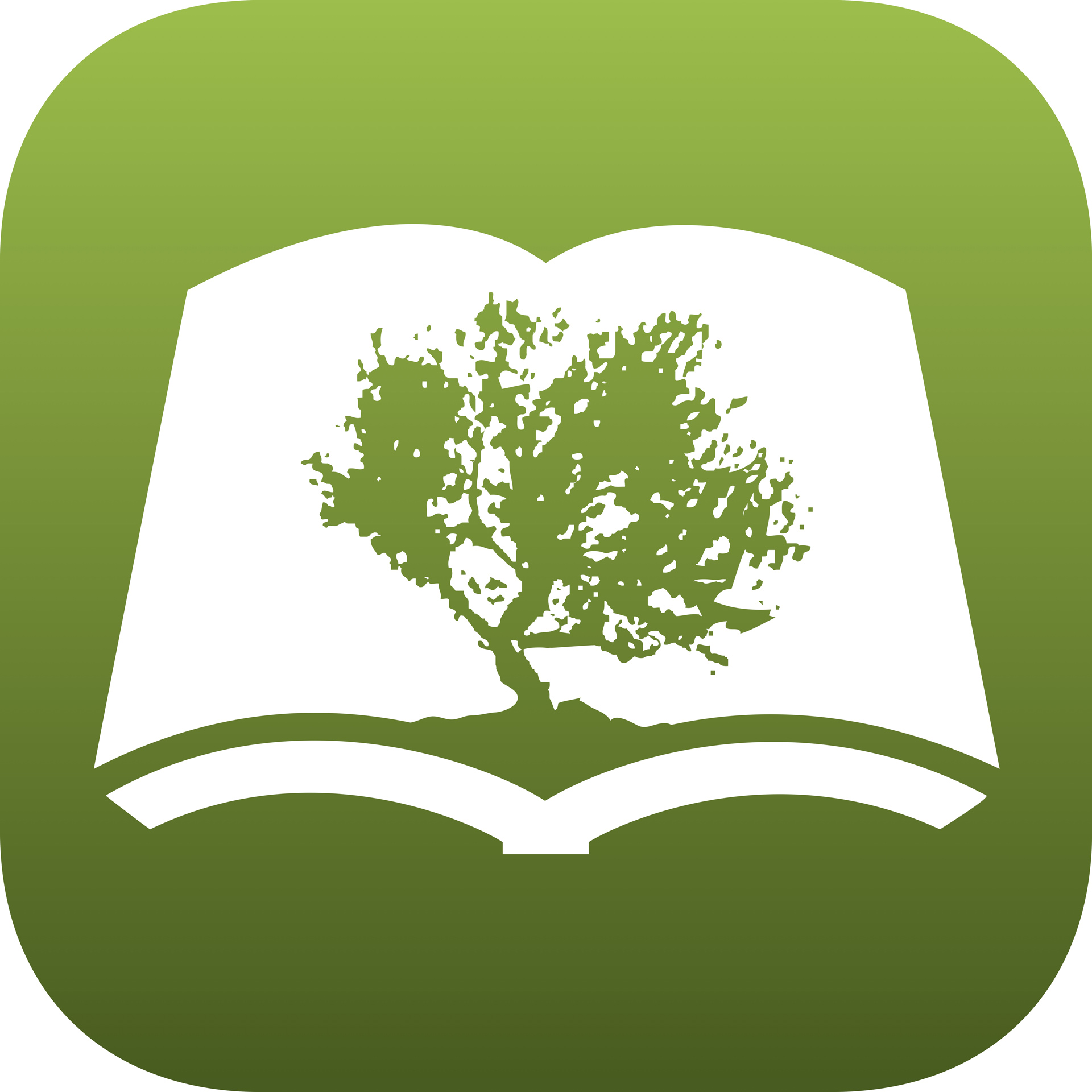 Olive Tree Bible