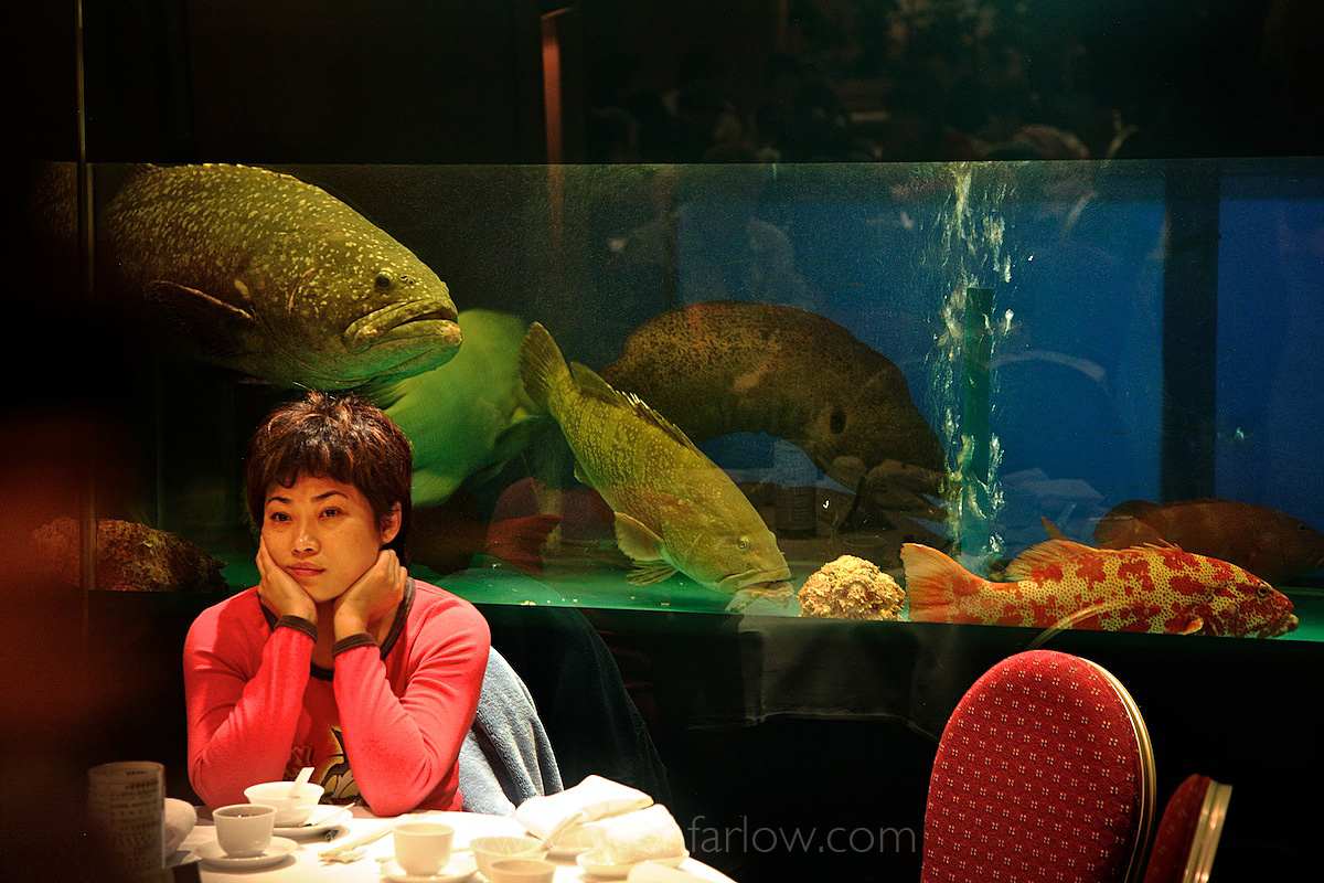Aquarium With Live Reef Fish in Chinese Restaurant