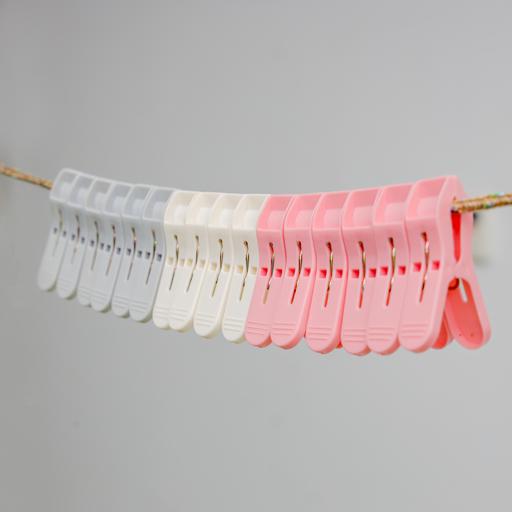 Plastic Laundry Clip 16 Pcs