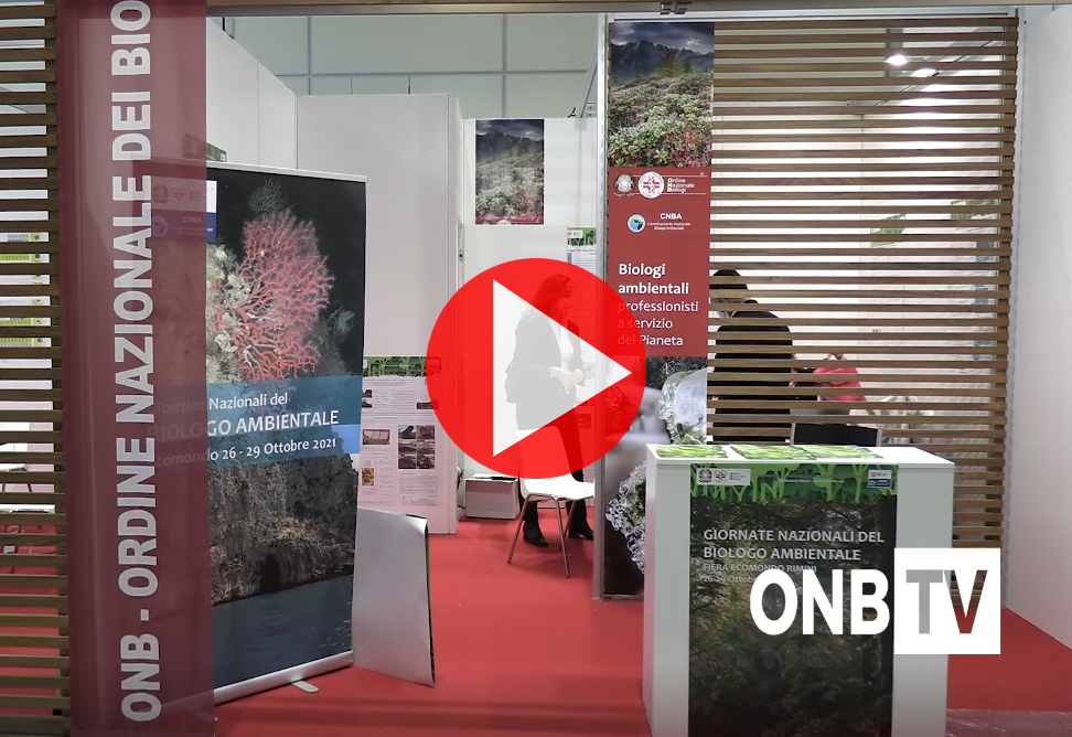 Video – I Biologi Ambientali Alla Fiera Ecomondo Di Rimini 2021 Con L'onb - Ordine Nazionale Dei Biologi 668_x_972_jpg