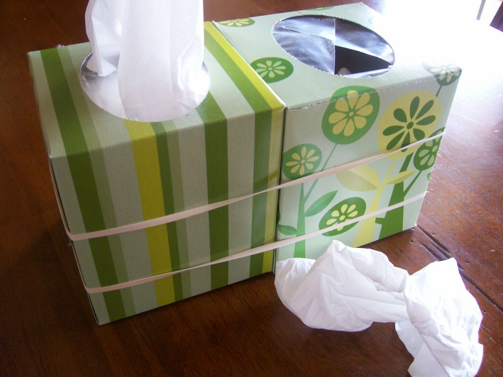 19 Great Ideas for Empty Tissue Boxes