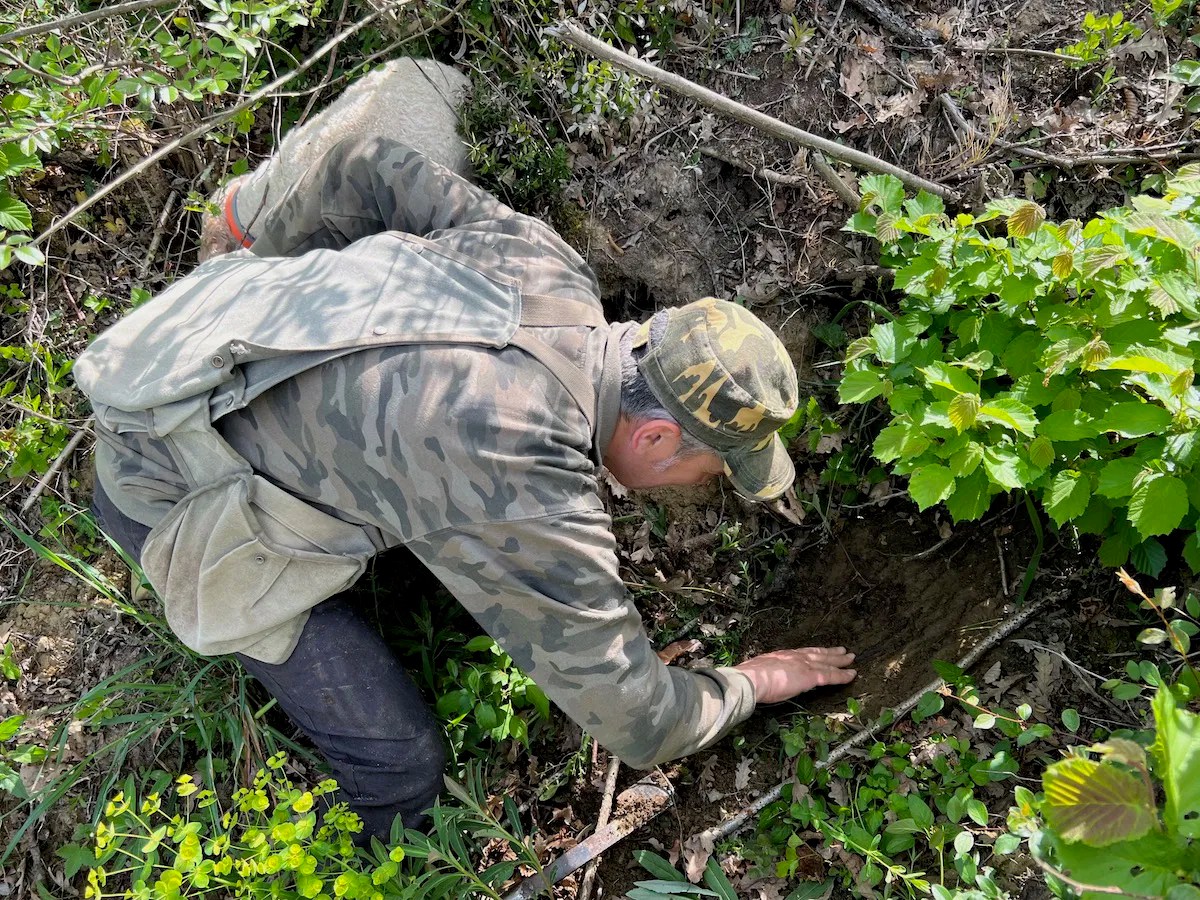 Truffle Hunting In Tuscany With Savini Tartufi One Mile at a Time