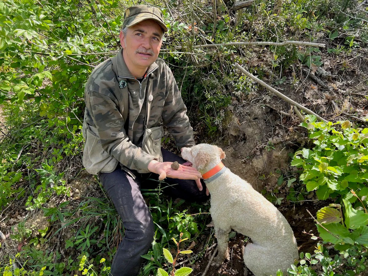 Truffle Hunting In Tuscany With Savini Tartufi One Mile at a Time