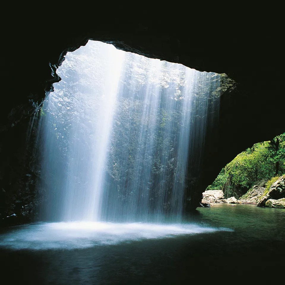 Half Day Springbrook National Park & Natural Arch Tour 119