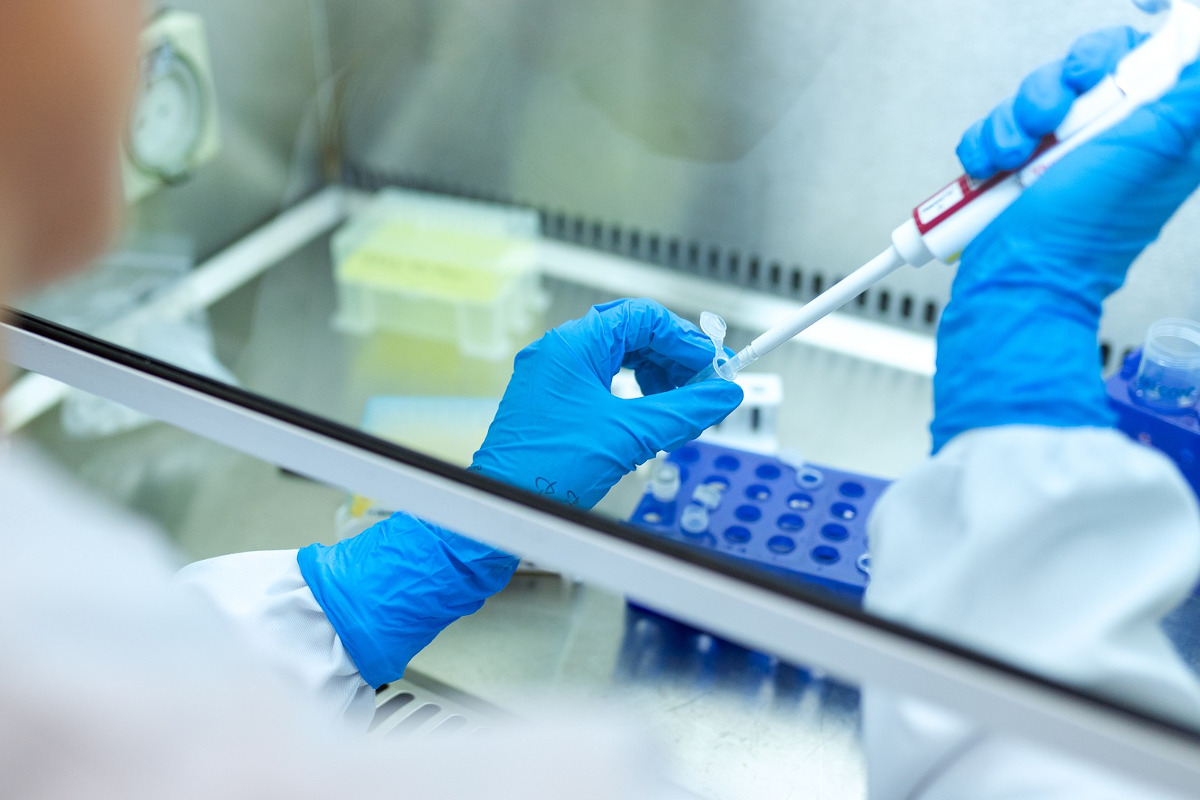 A PhD In Biomedical Sciences Can Lead To Many Different And Exciting