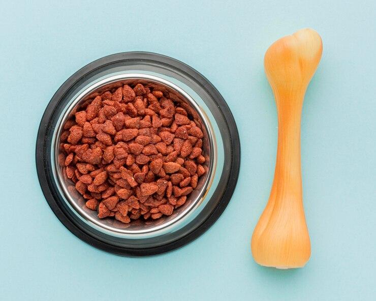 Pet Food Nutraceutical Market Global Trends, Opportunity