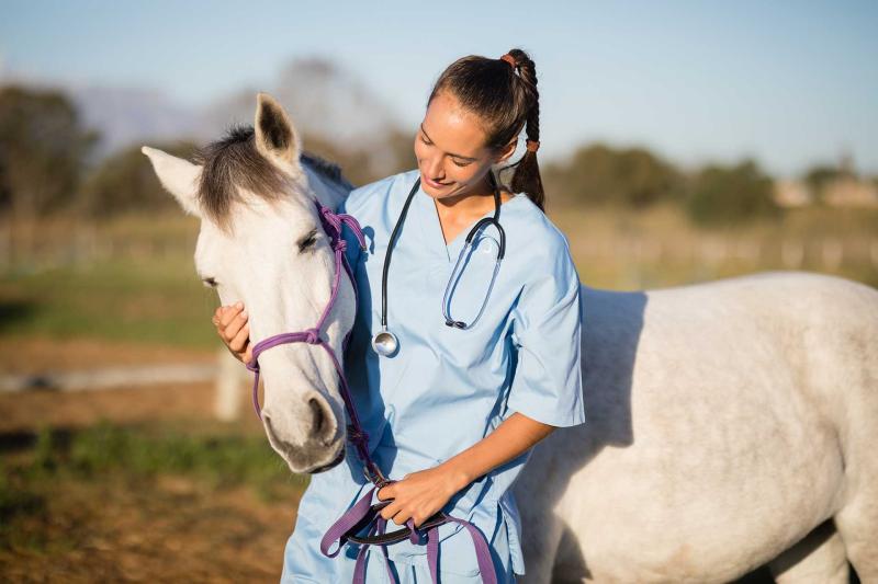 Equine Healthcare Market Future Outlook and Top Companies,