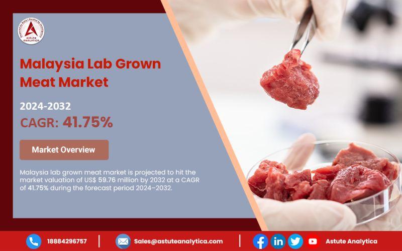 Malaysia Lab Grown Meat Market Set to Reach US 59.76 Million