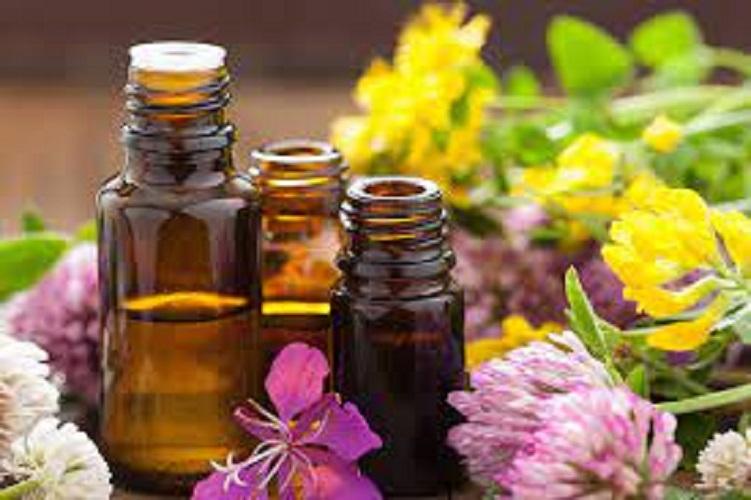 Aromatherapy Market 2021 Key Insights, Growing Opportunity